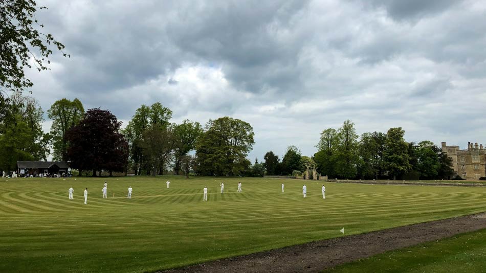 Cricket Practice